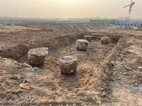 济南探花APP苹果版下载